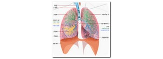 חובת הגילוי של דלקת ריאות בקשר לסרטן 